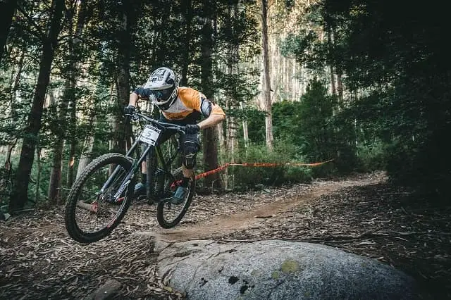 Mountain Bike in forest